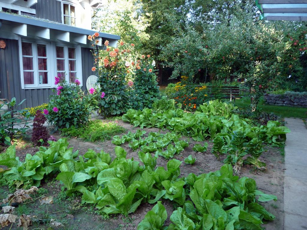 Ferienhaus Gartenlust Dierdorf Quarto foto